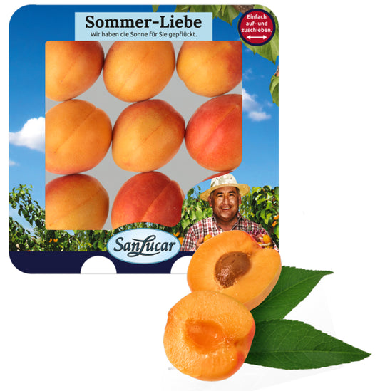 San Lucar Aprikosen Spanien Klasse I 600g Tragetasche / Tüte