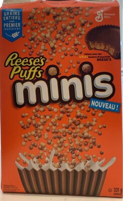 Reeses Minis 331g