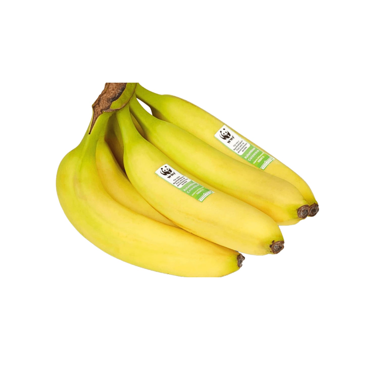 Bio EDEKA Bananen WWF Ecuador