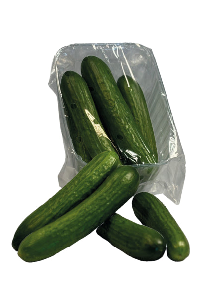 Minigurken Spanien Klasse I 750g Klarsichtpackung