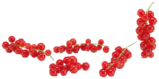 Rote Johannisbeeren Deutschland Klasse I 400g Schale