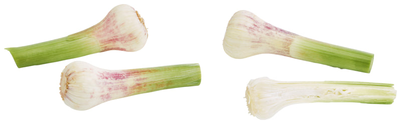 Knoblauch frisch weiß Deutschland Klasse I 2St Bund