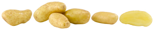 Kartoffeln festkochend Goldmarie Deutschland 2,5kg Beutel