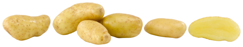 Kartoffeln festkochend Goldmarie Drillinge Deutschland,Mecklenburg-Vorpommern 1,5kg Papiertüte