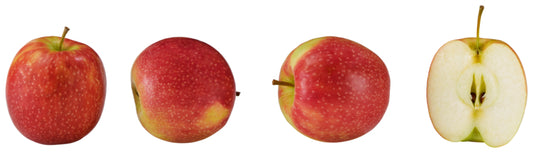 Äpfel Pink Lady Cripps Pink Chile Klasse I 1kg Karton