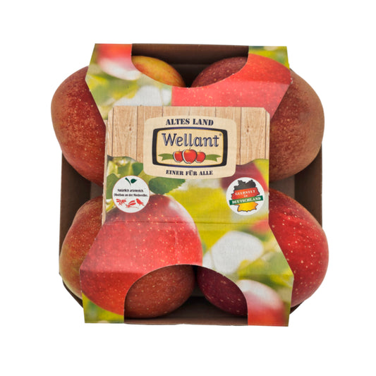Äpfel Wellant Deutschland Klasse I 900g Foodtainer