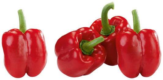 Paprika rot Mindestgewicht 180g Spanien Klasse I