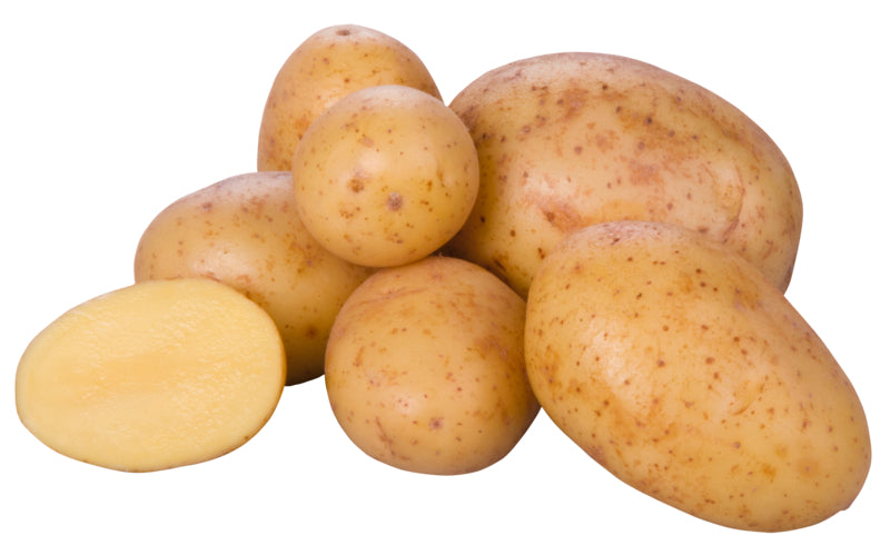 Unsere Heimat Kartoffeln festkochend Deutschland