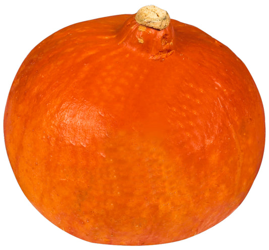 Bio Kürbis Hokkaido