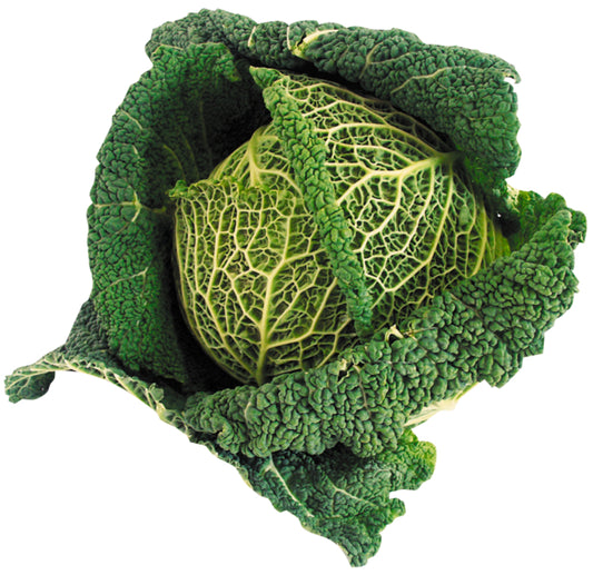 Bio Wirsingkohl