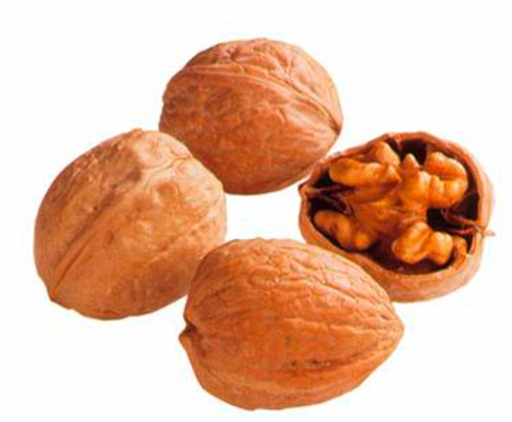 Walnüsse in der Schale 34mm+ Frankreich Klasse I