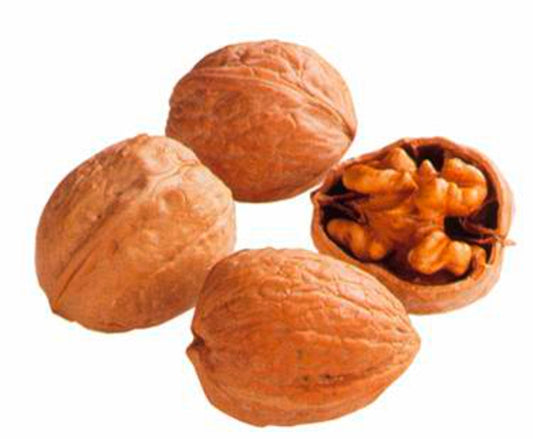 Walnüsse in der Schale 34mm+ Frankreich Klasse I