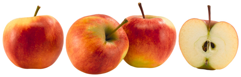 Bio Äpfel Elstar Frankreich Klasse II