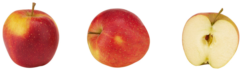 Bio Demeter Äpfel Wellant Fresco Deutschland Klasse II