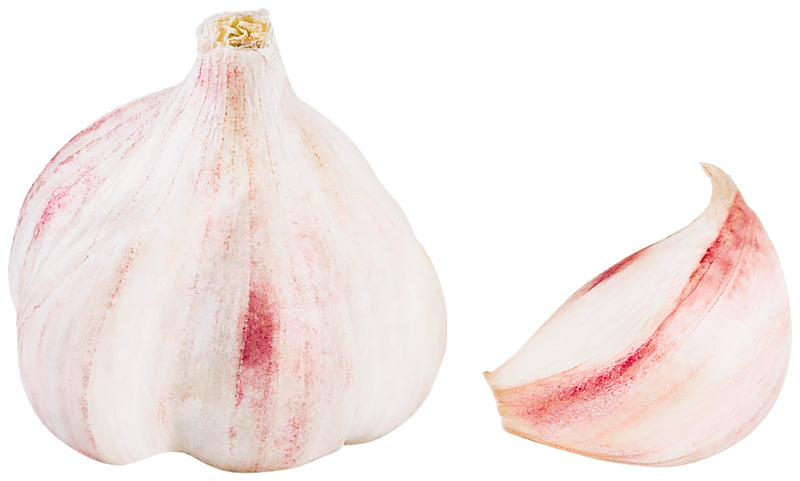 Knoblauch trocken weiß Spanien Klasse II