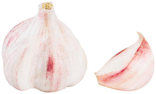 Knoblauch trocken weiß Spanien Klasse II