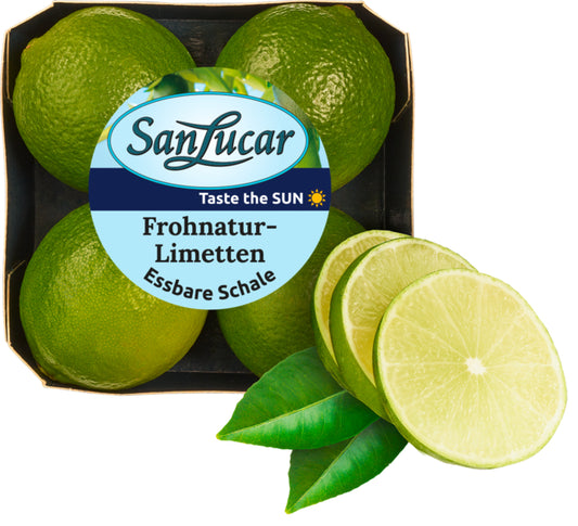 San Lucar Persische Limetten Spanien Klasse I 240g Kartonschale im Flowpack
