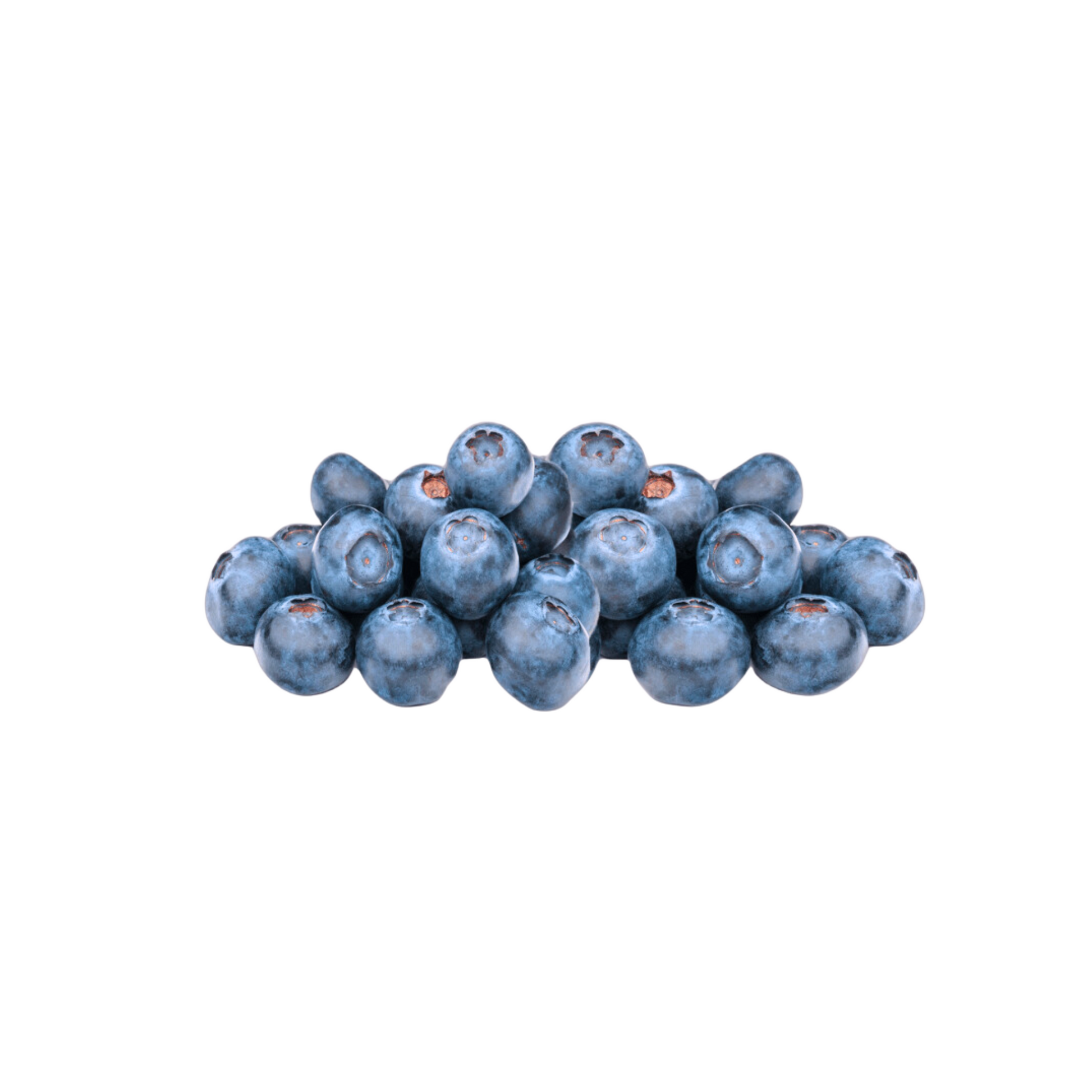 Bio Heidelbeeren II 125g foodpipe [Lebensmittel-Lieferservice Rostock]