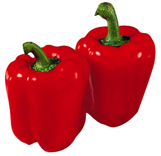 Bio Paprika rot 400g foodpipe Rostock [Lebensmittel-Lieferservice Rostock]