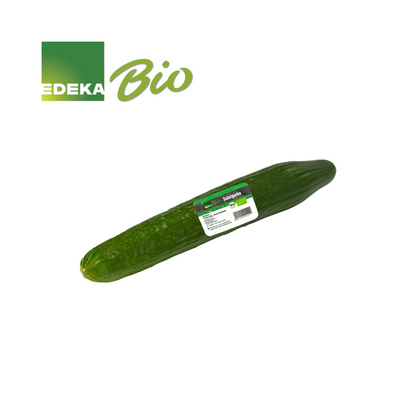 Bio Salatgurken foodpipe [Lebensmittel-Lieferservice Rostock]