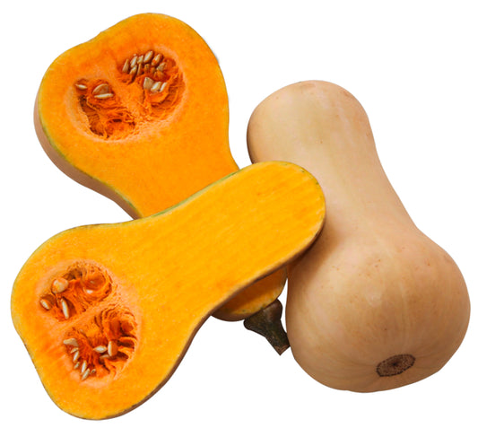 Bio Speisekürbis Butternut foodpipe [Lebensmittel-Lieferservice Rostock]