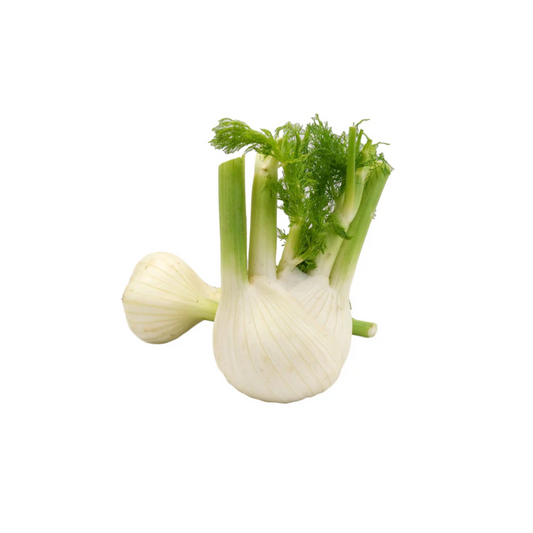 Bio Fenchel 500g