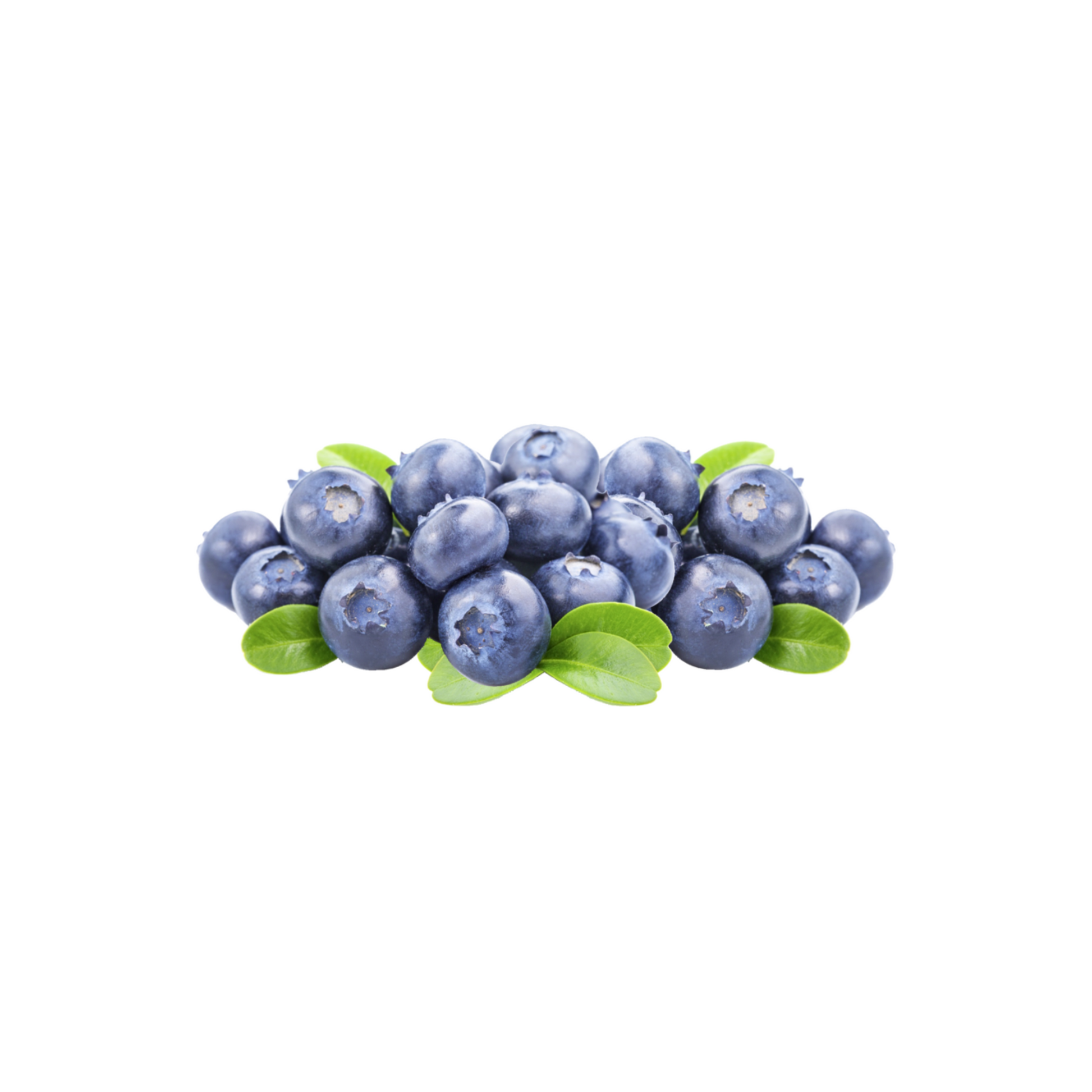 EDEKA Heidelbeeren 500g foodpipe [Lebensmittel-Lieferservice Rostock]