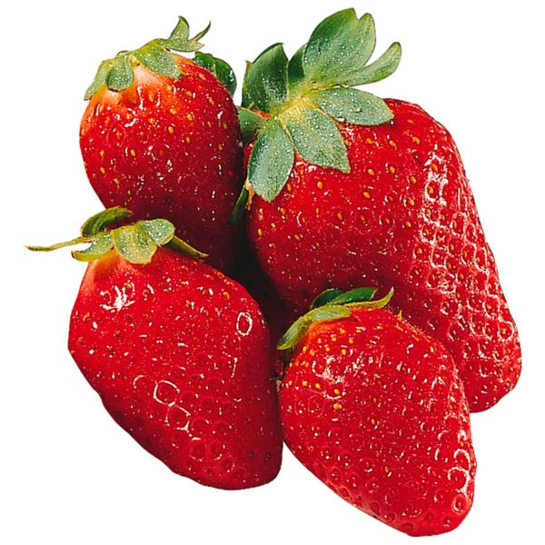 Erdbeeren 500g foodpipe [Lebensmittel-Lieferservice Rostock]
