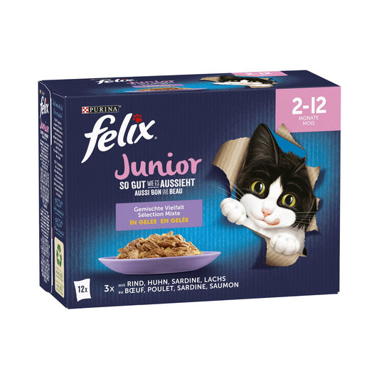 Felix Junior so gut wie es aussieht Gemischte Vielfalt 12x85g foodpipe [Lebensmittel-Lieferservice Rostock]