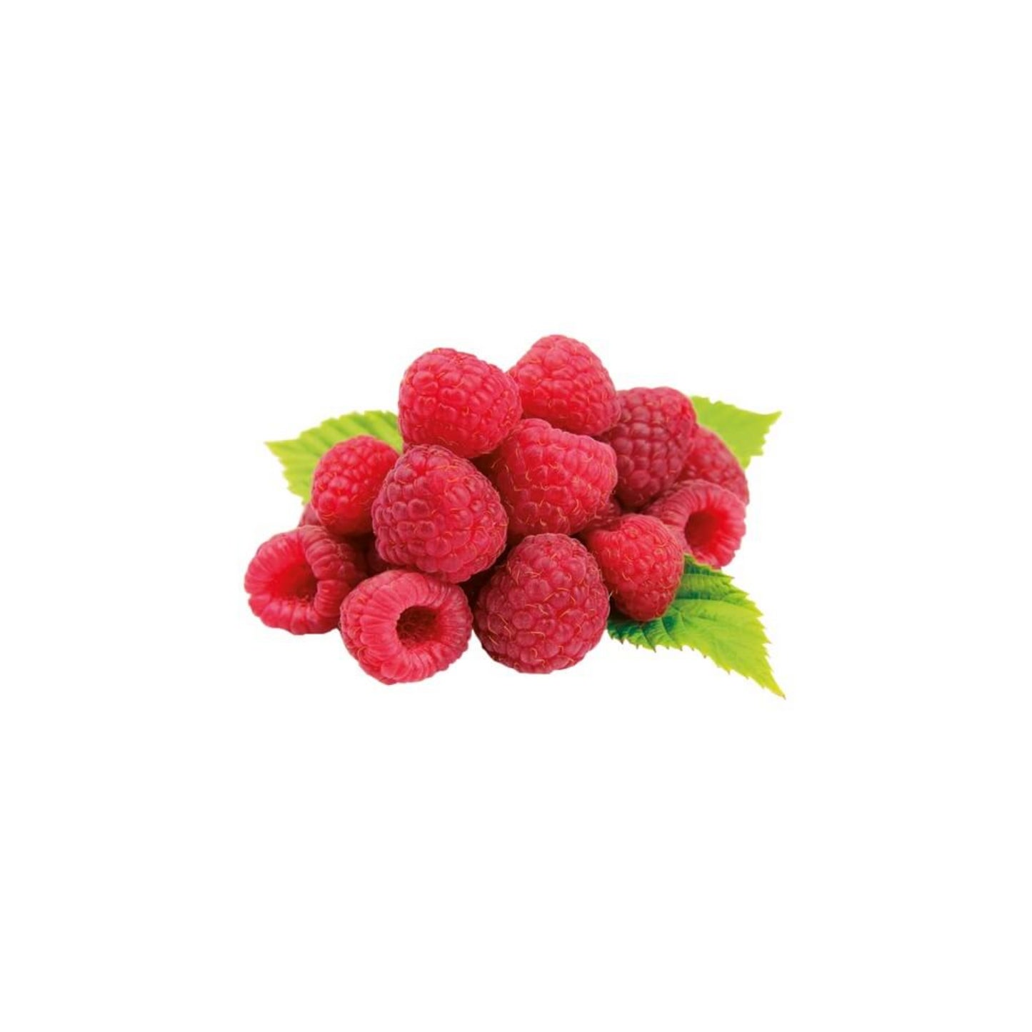 Himbeeren rot 125g Schale foodpipe [Lebensmittel-Lieferservice Rostock]