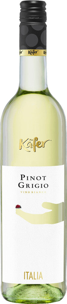 Käfer Pinot Grigio DOC trocken 0,75l foodpipe Rostock [Lebensmittel-Lieferservice Rostock]