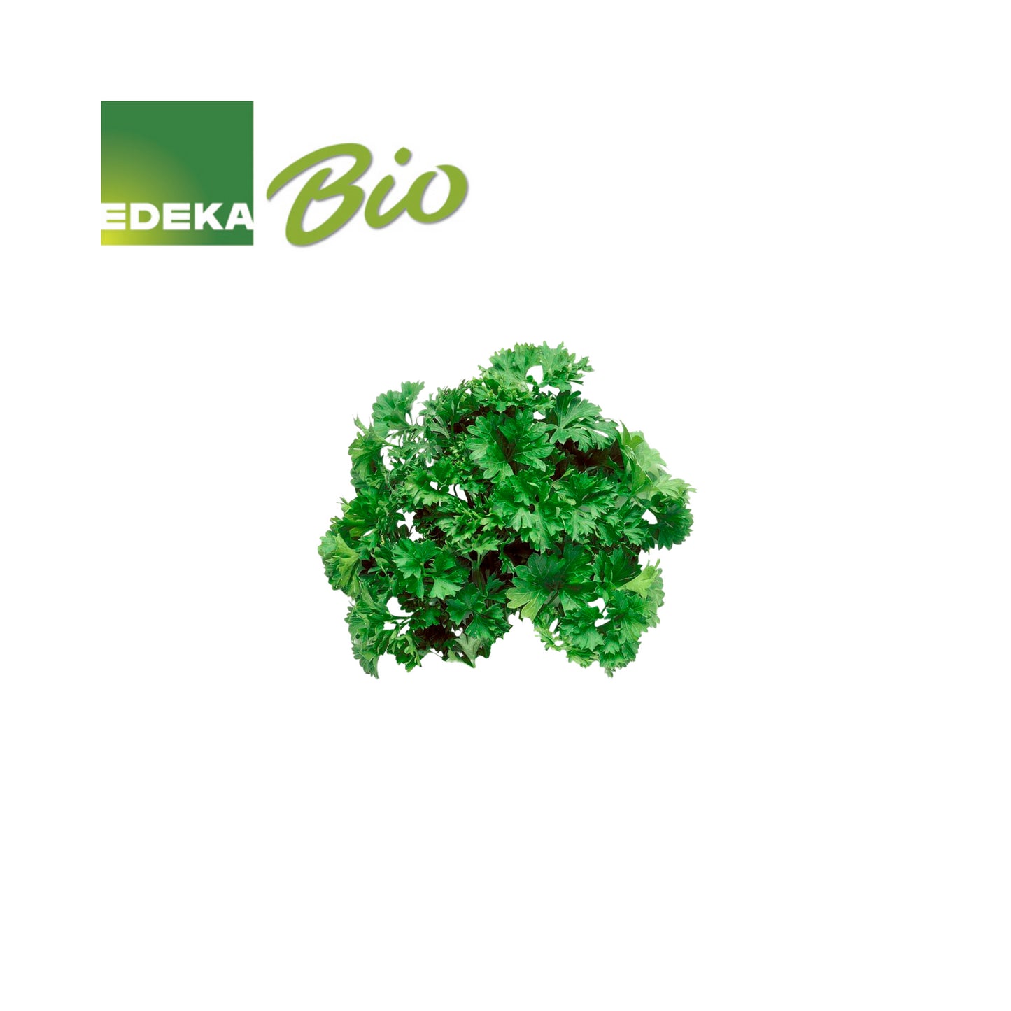 Kräut. Bio Peter.kraus 13cm foodpipe Rostock [Lebensmittel-Lieferservice Rostock]