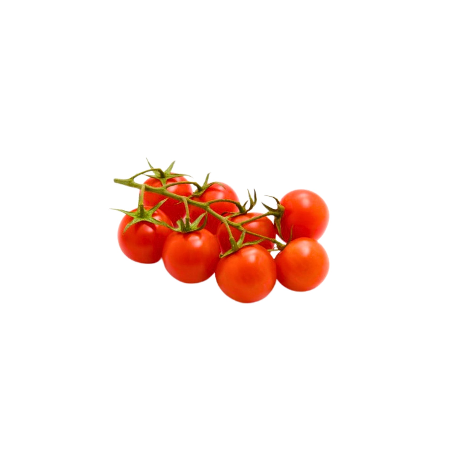 Mini-Naschtomaten 500g foodpipe [Lebensmittel-Lieferservice Rostock]