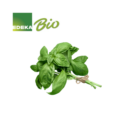 Bio EDEKA Bubikopf Basilikum im Topf 13cm Deutschland getütet
