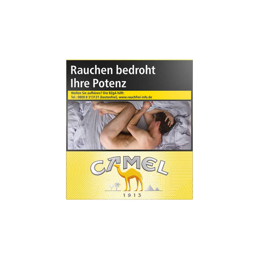 Camel Yellow BP 6XL 58ST 20,00